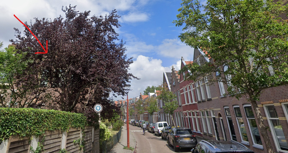 Steijnstraat 58A