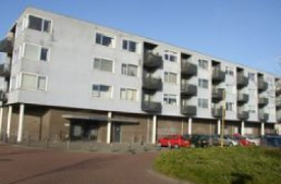 Roze Flamingo 100, 1704 WV Heerhugowaard, Nederland